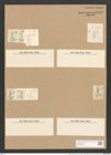 Stauroneis platystoma (Ehr.) Kuetz. (de-Toni-Nr.: Genus 6, Species 874) Zeichnungen Sammlung Grunow Nr. 1733 (NHMW-BOT-W0368614)